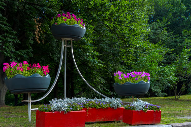 A neat colored well maintained garden in Japanese style