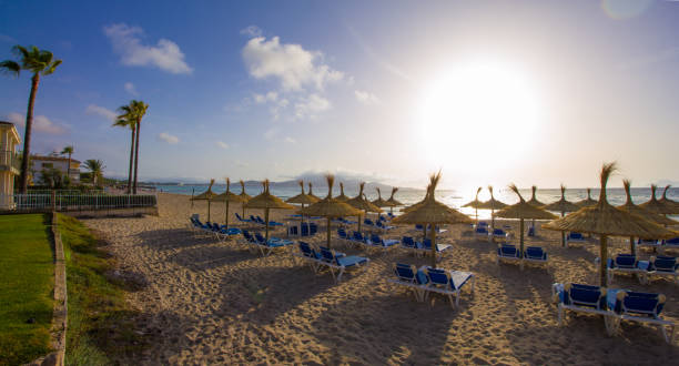 istock Beach umbrellas and sunbeds in the morning light 890740734