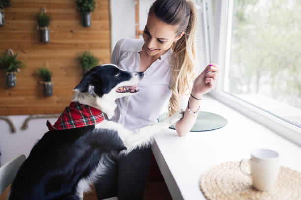 istock Beautiful woman happy while spending time with her dog at home 890744372