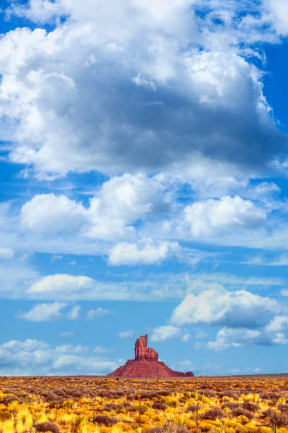 istock Monument Valley in Western United States 890747438