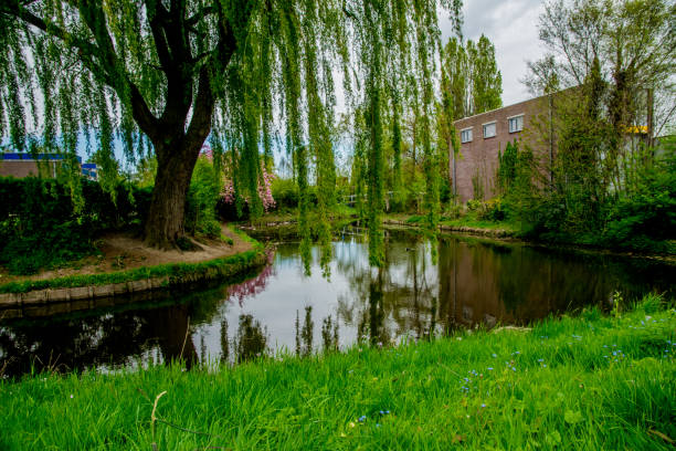 istock green landscape view with grass water and blue sky 890748106