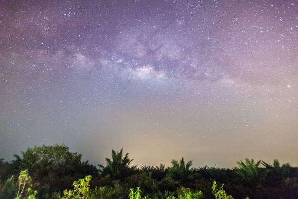 istock Beautiful milkyway galaxy stars view for cosmos background 890756804