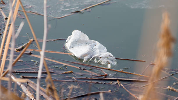 istock Bottle in the lake as rubbish 890756990