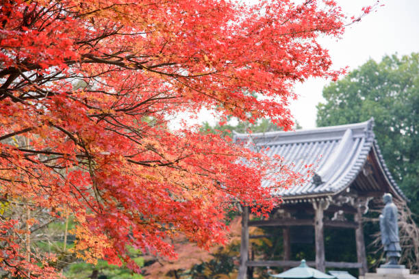 istock Autumn season in Japan 890757546