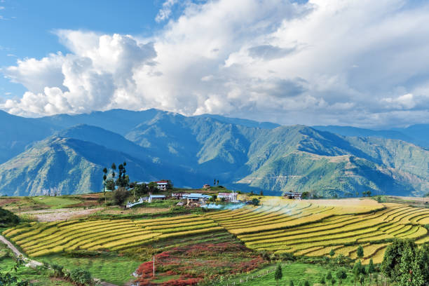 fazenda nas montanhas orientais de butão - bhutan - fotografias e filmes do acervo