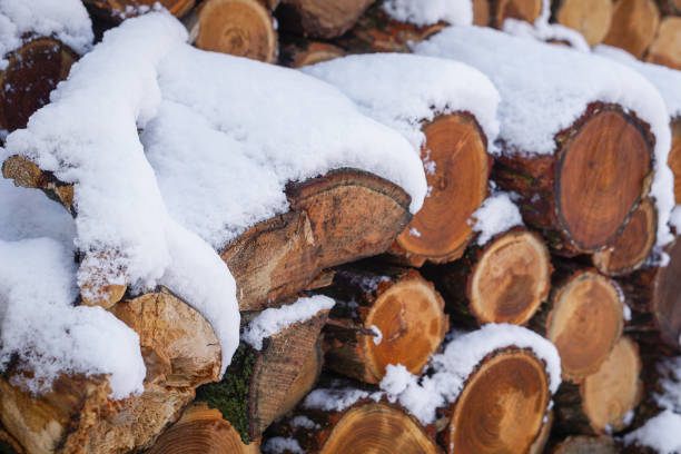 istock Pile of wood covered with snow 890760800