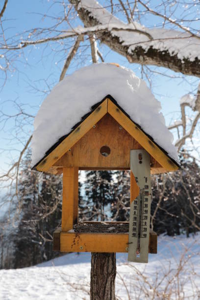 Snow, Cold, Food, Day, Julian Alps, Winter, Čaven