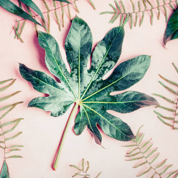 istock Green tropical palm leaves on pastel pink background 890763776