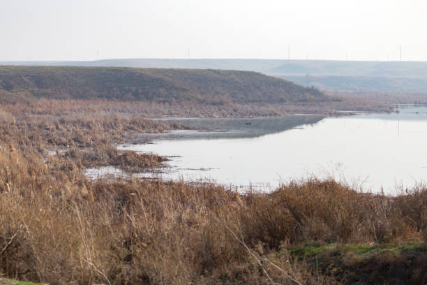 istock lake in nature in autumn 890770896