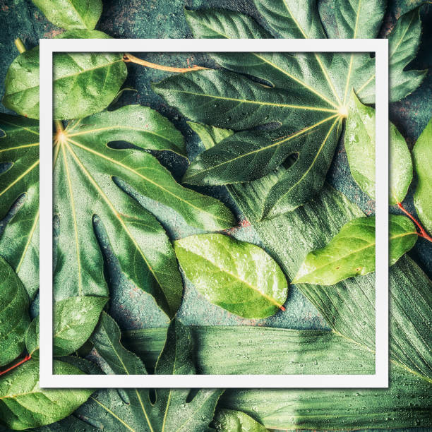 istock Frame of tropical nature and palm leaves 890771282