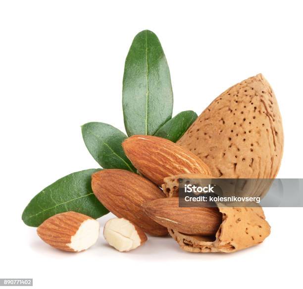 Group Of Almond Nuts With Leaves Isolated On White Background Stock Photo - Download Image Now