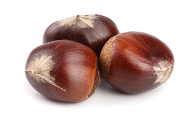 istock fresh edible chestnut isolated on white background 890771648