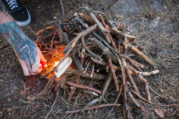istock Bonfire preparation tourism nature forest concept. 890771728