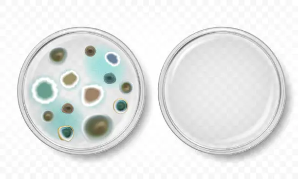 Vector illustration of Petri dish with mold colonies