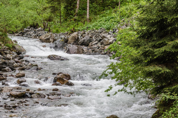 istock wild brook in the mountains 890772292