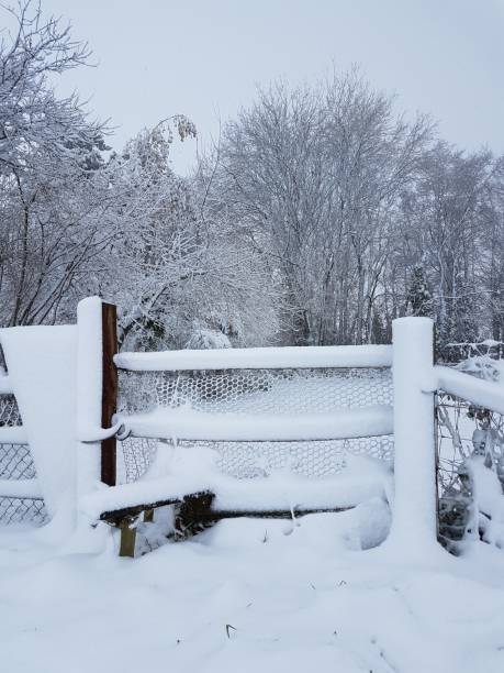 istock Countryside style and fence covered in snow 890776216