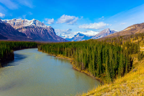 istock Abraham lake and autumn forests 890786500