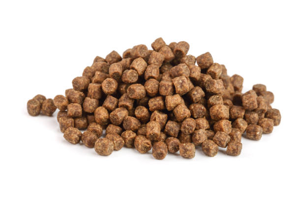 istock dry cat food isolated on white background 890786740