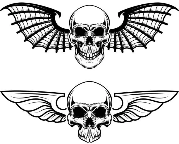 Vector illustration of Set of the winged craniums. Skull with bat wings. Design elements for label, emblem, sign, t shirt. Vector illustration