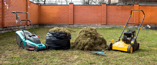 istock Gardener Operating Soil Aeration Machine on Grass Lawn 890790142