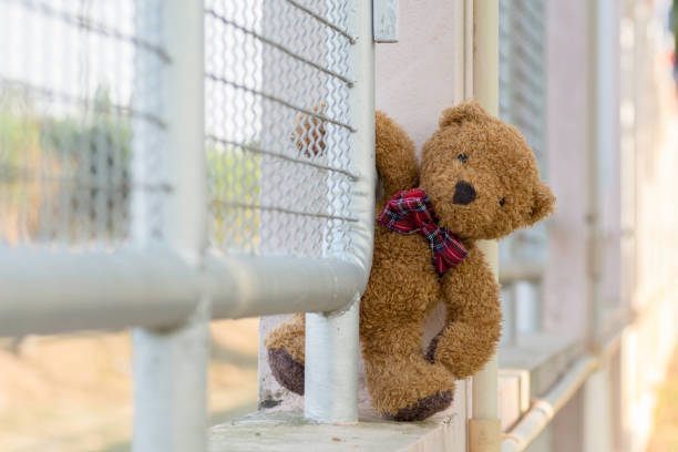 istock Teddy bear standing beside the fence. 890794096