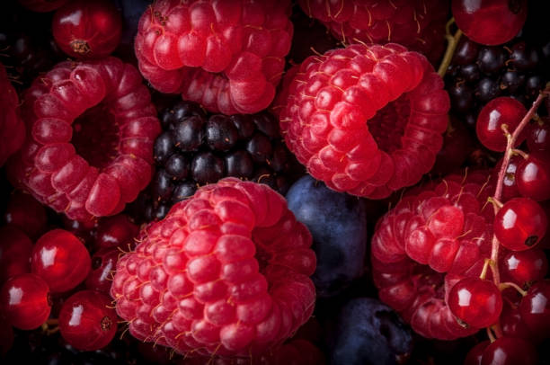 istock Berries assorted closeup colorful mix in studio on dark background 890794516