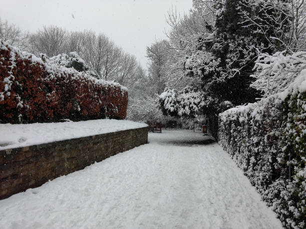 istock The first snow in London 890796798