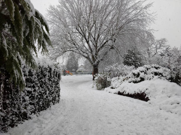 istock The first snow in London 890797062