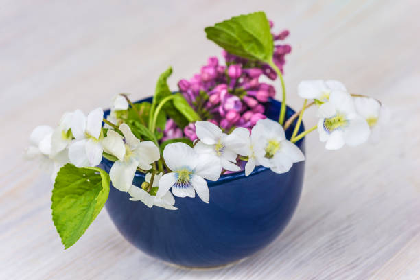 istock bouquet of white viola 890825480