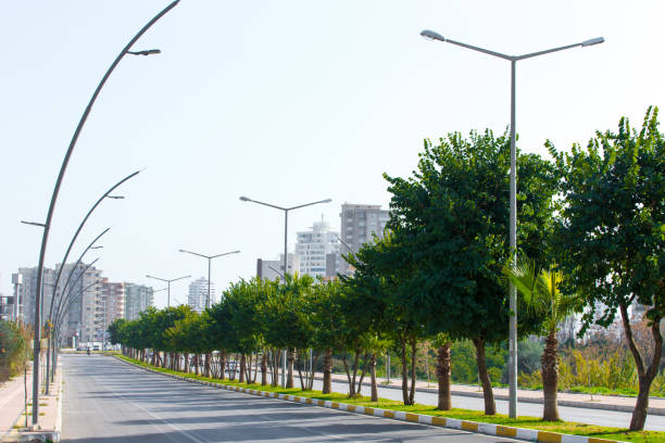 Street in the city