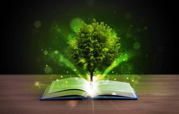 istock Open book with magical green tree and rays of light 890837822