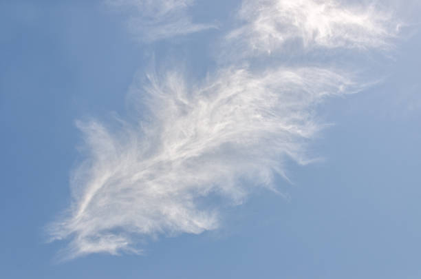 Blue sky with white clouds that look like feathers