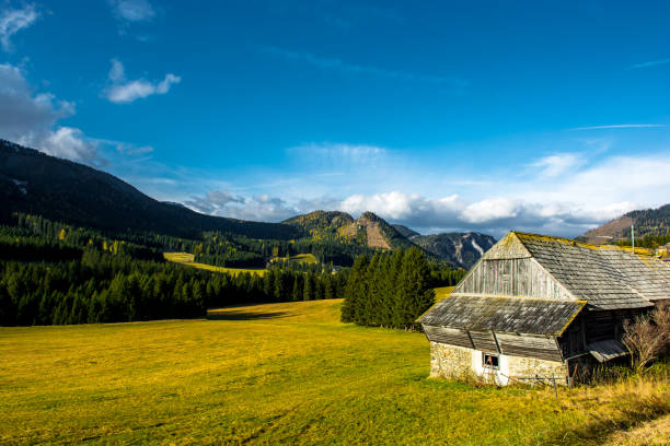 istock Rural Landscape with Mountains in Austria 890850196