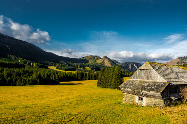 istock Rural Landscape with Mountains in Austria 890850278