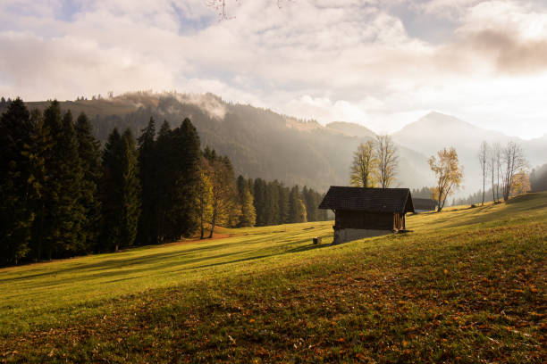 istock A wonderful autumn day 890868250