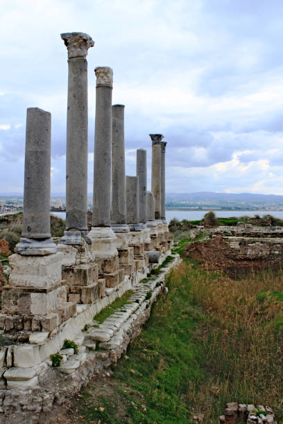 istock Remains of ancient roman columns in Tyre 890873494