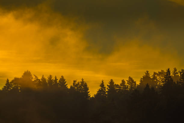istock Morning mist over the surface of water 890884176