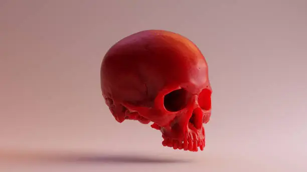 Photo of Red Skull