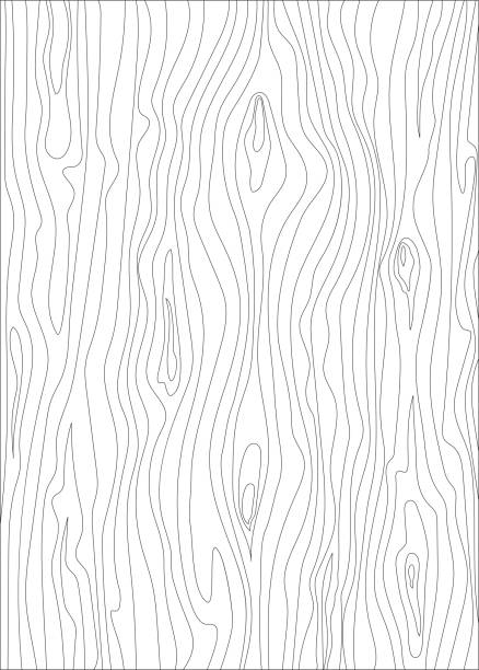 illustrations, cliparts, dessins animés et icônes de texture du bois. illustration vectorielle contour isolé - veine du bois