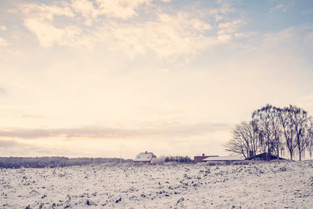 Winter landscape, view of village from afar. Western Ukraine