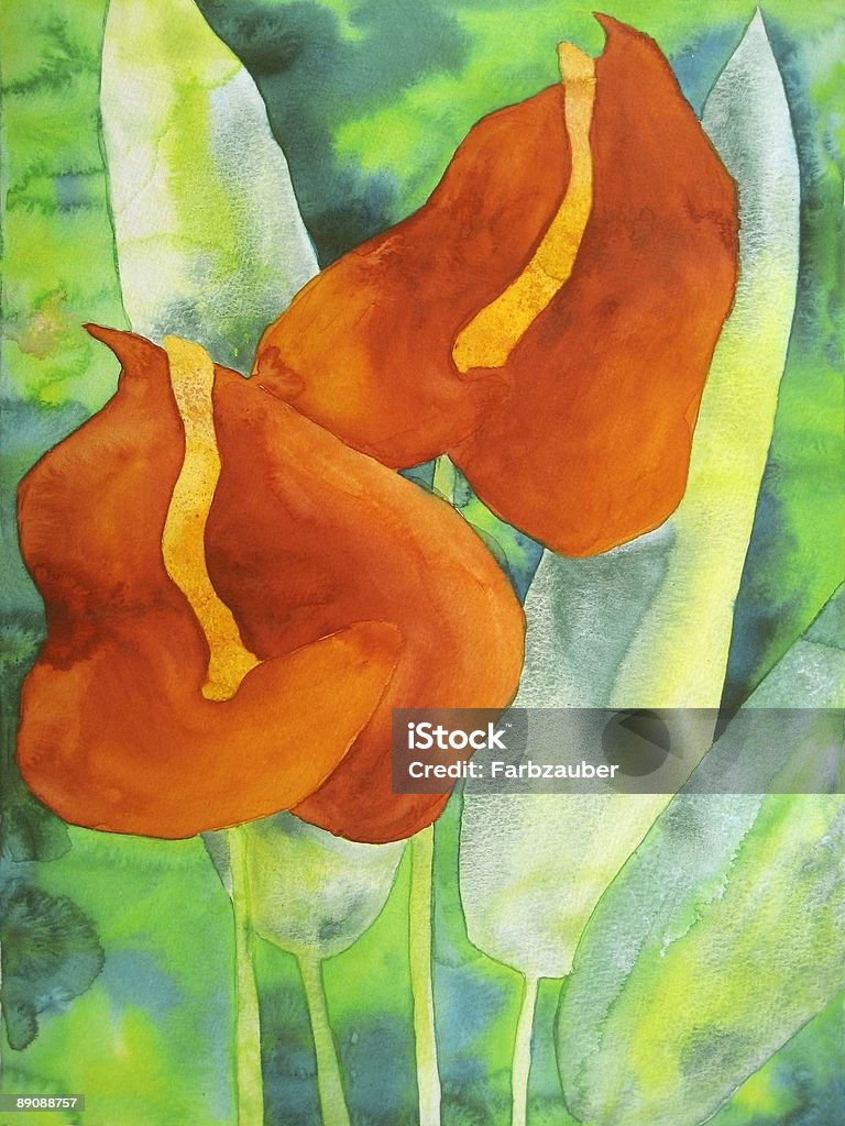 Anthurium-orange-yorkaise red Flower - Illustration de Aquarelle libre de droits