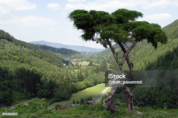 Vista Montanhas - Fotografias de stock e mais imagens de Alpes Europeus - Alpes Europeus, Ao Ar Livre, Beleza