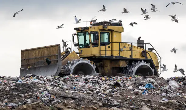 A heavy compactor/bulldozer reshape rubbish on a landfill site and gets mobbed by hungry birds