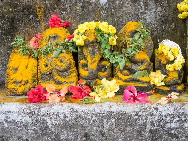The traditional decoration of murti of snake with flowers and yellow dust