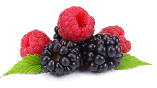 istock blackberries with raspberries and green leaf isolated on white background. macro 890940534