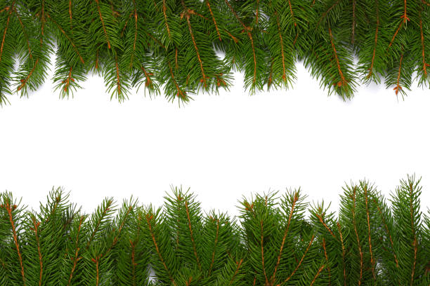 istock Christmas background. Top view with copy space. fir tree with cone isolated on white background 890940638