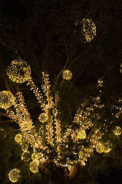 istock Christmas Decoration Funchal 890941234