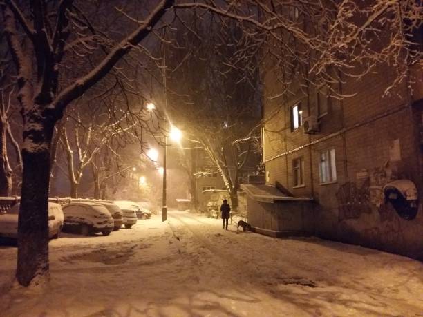 istock Heavy Snowing at the Night in Kiev, Ukraine 890947502