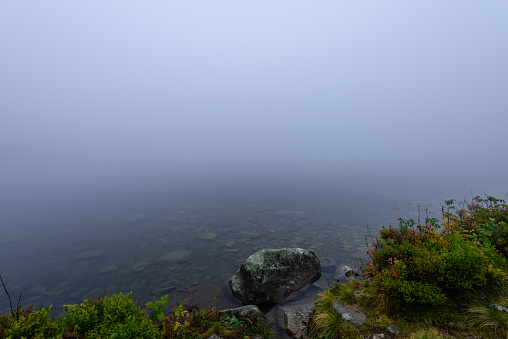 reflections of trees in the lake water at sunrise with morning mist over the water and heavy fog. mountain area water supply