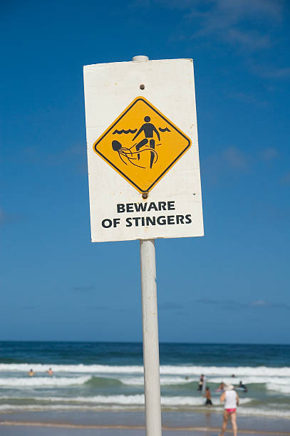 istock Beware of stingers 89097637